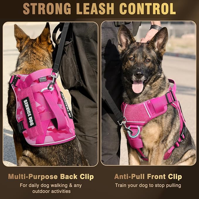 2X Metal Buckle Service Working MOLLE Dog Vest with 10 Pet Patches | Tactical Dog Harness for Large Dog, No-pull Military Working Vest for Training Hunting Walking，2x D Rings for Leash Clip