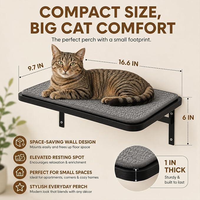Cat Wall Shelves Set of 2, Black Solid Wood Cat Window Perch with Grey Sisal Cushion, Wall-Mounted Space-Saving Climbing Bed, Lounging Shelf for Kittens & Cats, Black Furniture for Indoor