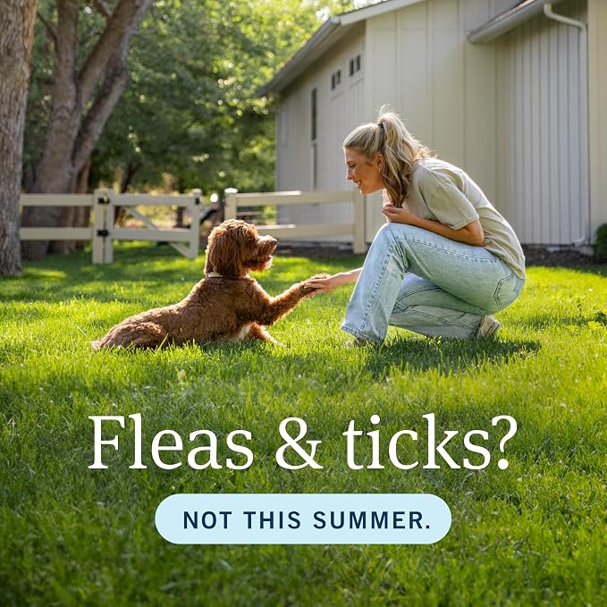 PETARMOR Home Carpet Powder for Fleas and Ticks, Protect Your Home From Fleas and Deodorizes Carpets, 16 Ounce
