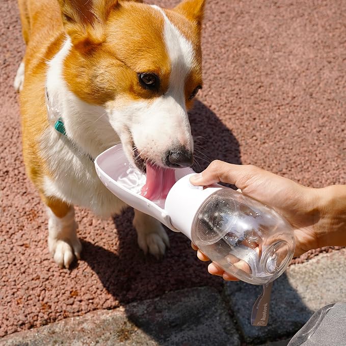 Foldable Dog Water Bottle, Portable Water Dispenser for Dog, Cat, Rabbit, Puppy and Small Animals, Dishwasher Safe Pet Accessories for Walking, Hiking, Travel