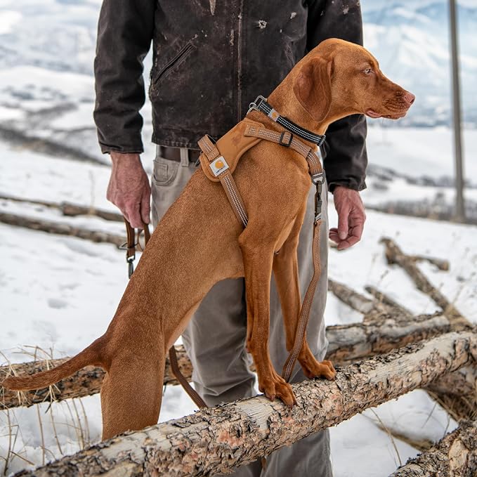Carhartt Nylon Duck No Pull Dog Harness Gravel L | Fully Adjustable Dog Harness with Quick Control Handle and Reflective Accents