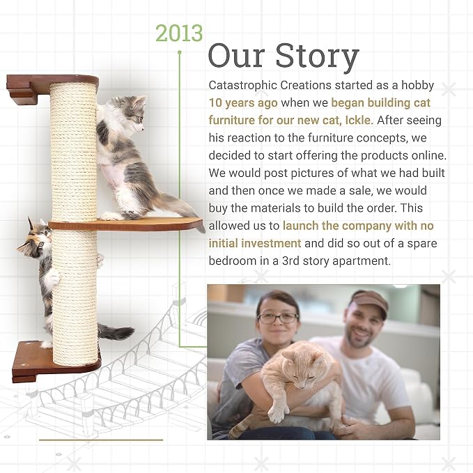 CatastrophiCreations Cat Bridge Wall-Mounted Play and Lounge Toy Cat Tree with Fabric Lounger for Pets