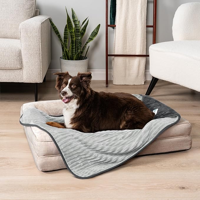 PetAmi Waterproof Dog Blanket, Leakproof Pet Blanket for Small Medium Large Dog, Reversible Furniture Bed Sofa Couch Cover Protector, Soft Striped Pet Throw for Indoor Cat, 24x32 in, Grey Light Gray