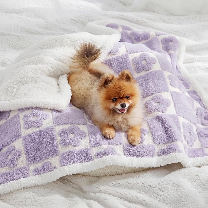 LE SURE Waterproof Dog Blankets for Small Dogs Cute Cozy 3D Jacquard,25x35 | Puppy Blanket for Cat Aesthetic Gift, Warm Soft Sherpa Throw Washable, Reversible Pet Couch Protector, Lavender Flower Checks