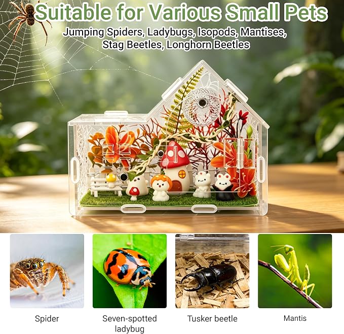 Acrylic Jumping Spider Enclosure Kit 25PCS with Decor | 25-in-1 woodland theme set with mushroom decor, white hideout, plants, ideal for mantis & tarantula