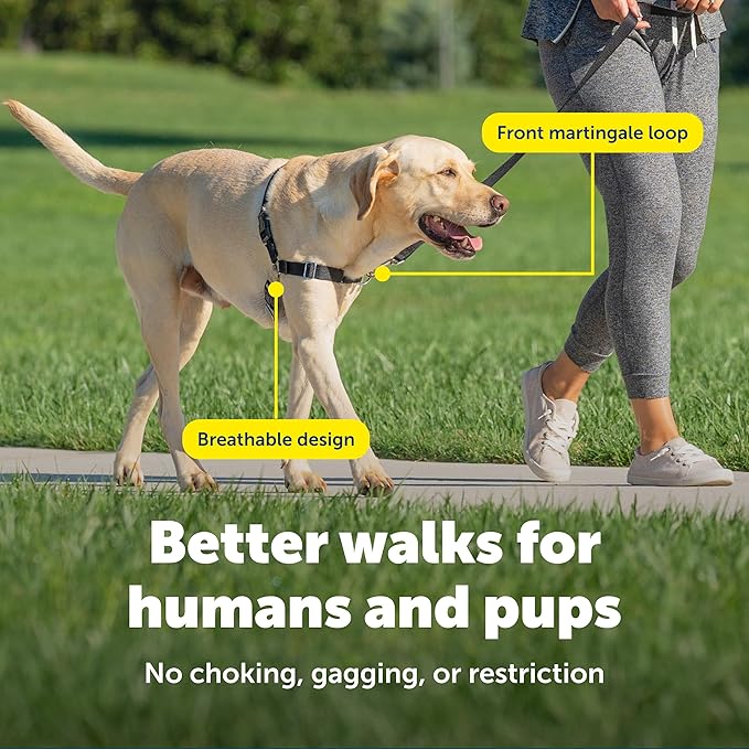 PetSafe Easy Walk Harness, No Pull Dog Harness, Apple Green, Medium | Patented Martingale Loop Gives Gradual Shoulder Pressure to Stop Pulling, Front-Chest Leash Clip Prevents Gagging