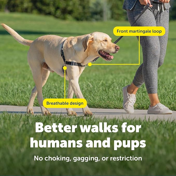 PetSafe Easy Walk Harness, No Pull Dog Harness, Medium, Raspberry | Patented Martingale Loop Gives Gradual Shoulder Pressure to Stop Pulling, Front-Chest Leash Clip Prevents Gagging