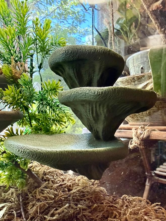 Mushroom Ledge for Terrarium – Climbing & Resting Shelf with Suction Cups (Dark Green, 6''x4.5''x5.25'')