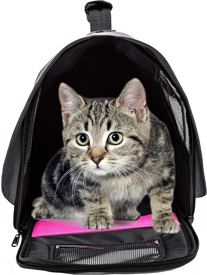 Pawer 18” x 11”x 11” Soft-Sided Foldable Airline Approved Pet Carrier for Cat, Puppy and Small Dog, Washable 600D Oxford Fabric, with Handle and Strap for Carry, Multiple Colors Available