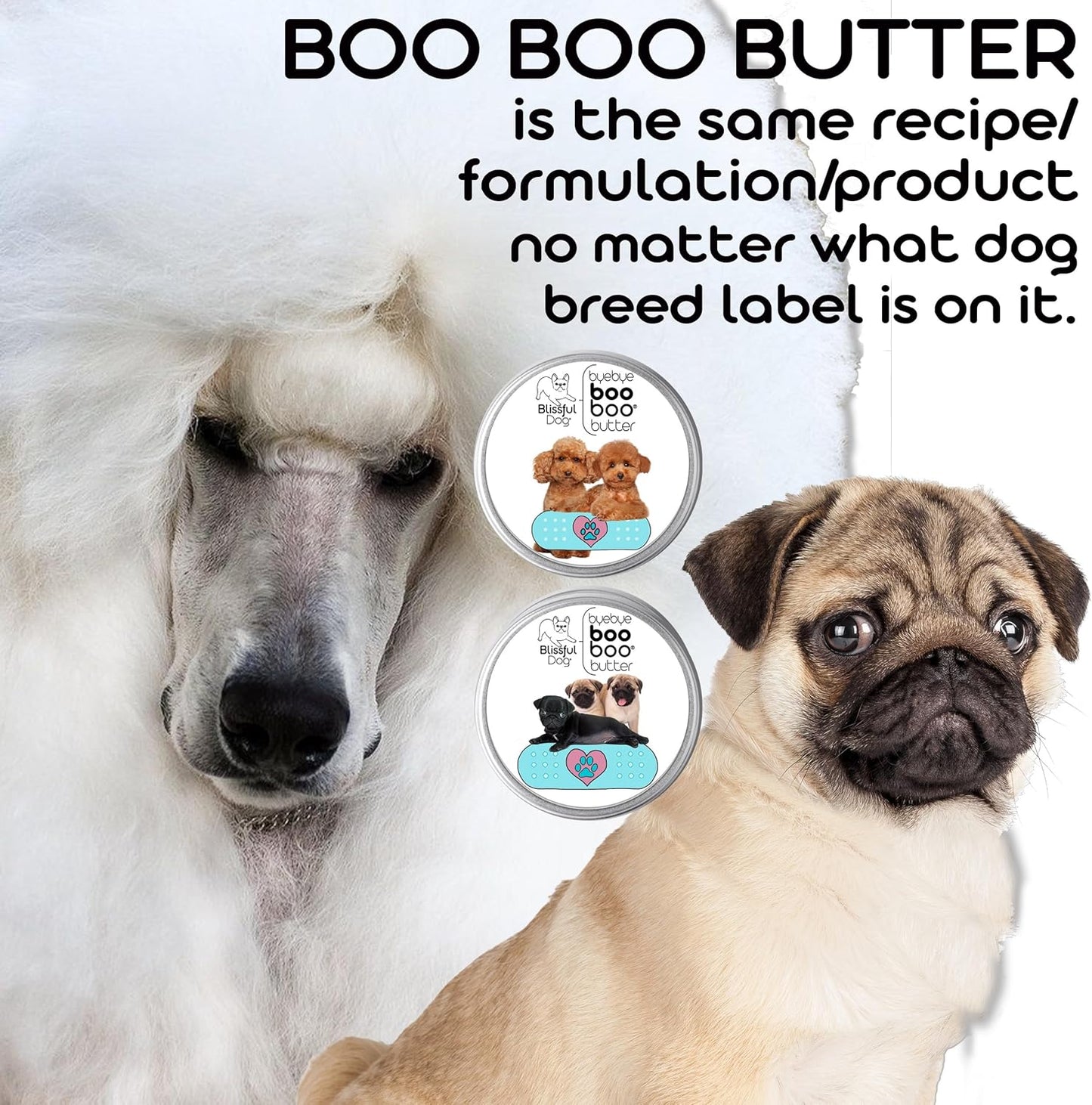 The Blissful Dog Havanese Boo Boo Butter, 4-Ounce
