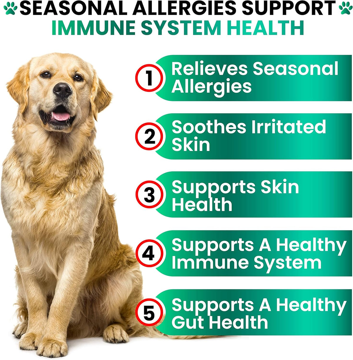 Dog Allergy Relief Chews - Dog Itching Skin Relief Treatment - 170 Chews - Anti-Itch, Hot Spots, Paw Licking - Immune Health - Omega 3 Fish Oil - Dry Itchy Skin and Coat Supplement - Made in USA