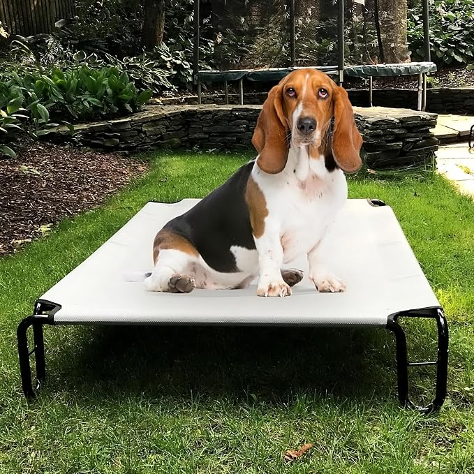 Elevated Dog Bed, 35 x 28 x 8 inches (Small, Grey)