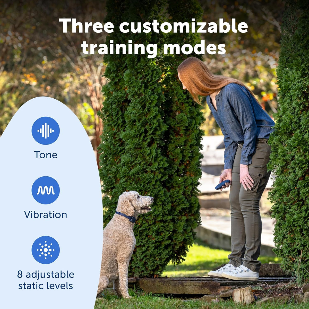 PetSafe Basic Dog Trainer with Remote – Waterproof Training Collar – 300 ft Range – Tone, Vibration and Eight Levels of Static