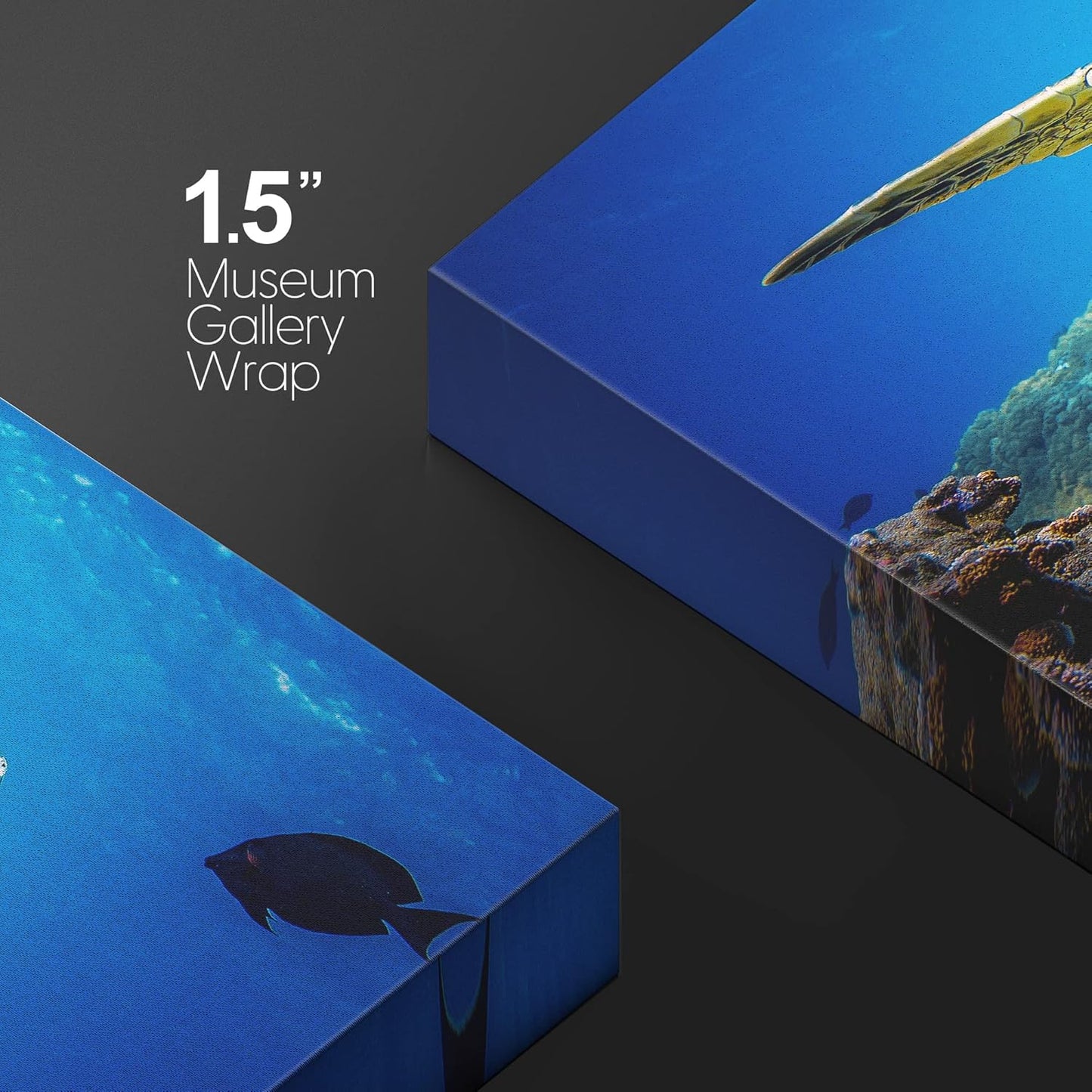 wall26 Canvas Print Wall Art Vibrant Ocean Underwater Swimming Turtle Nature Animals Photography Realism Rustic Scenic Landscape Wilderness Earth Colorful for Living Room, Bedroom, Office - 24"x36"