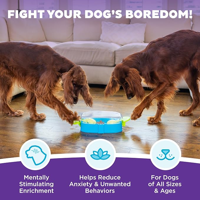 Outward Hound Nina Ottosson Paw N' Play Interactive Dog Treat Puzzle, Level 2 Intermediate Dog Enrichment Dog Toy, Blue, Small