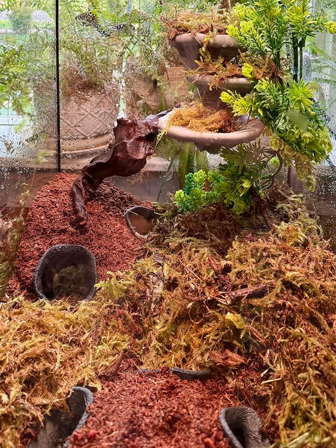 Mushroom Ledge for Terrarium – Climbing & Resting Platform with Suction Cups (Bone, 6''x4.5''x5.25'')