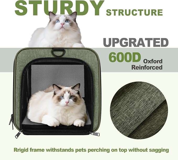 GAPZER Medium Cat Carrier Bag Lightweight, Soft-Sided Small Pet Carry Crate Teacup Breed Dogs, Top Loader Yorkie Kennel Sturdy Durable Mesh up to 15 lbs for Indoor House Dark Green