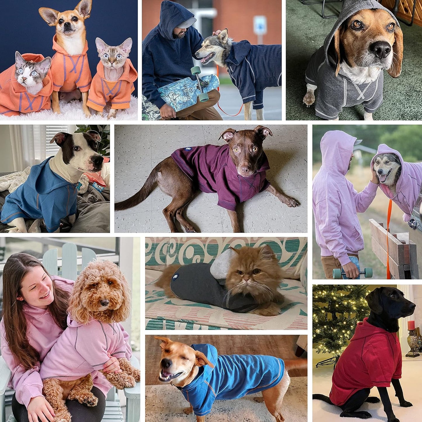 Blueberry Pet Essentials Hoodie – 20″ Cotton-Blend Sweatshirt with Hood, Burgundy Red, Machine-Washable Small-Dog Jersey