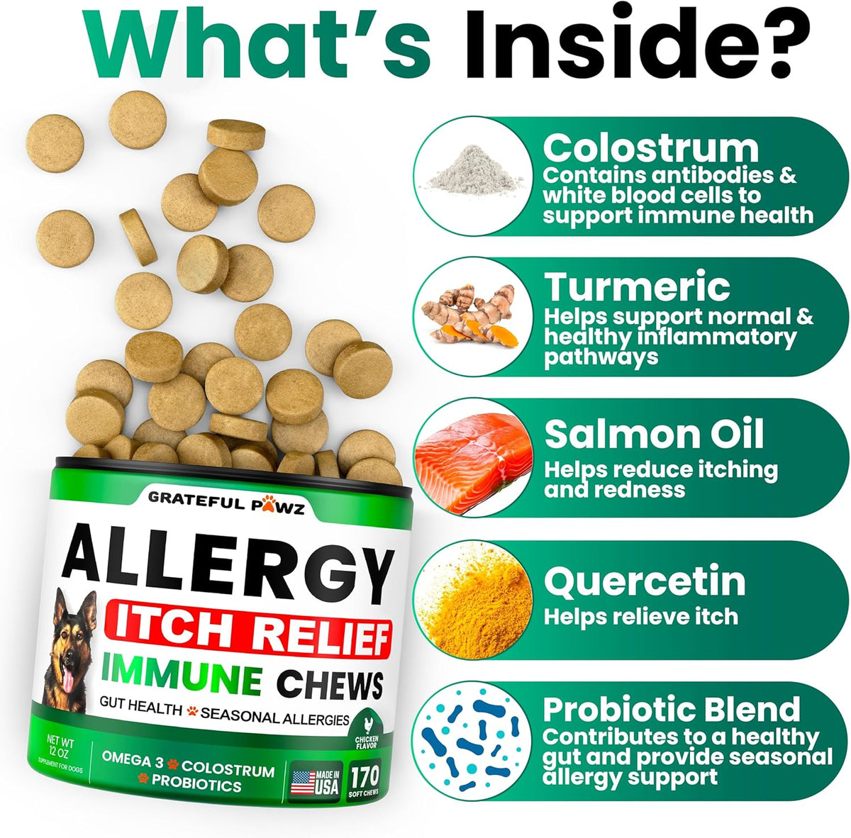 Dog Allergy Relief Chews - Dog Itching Skin Relief Treatment - 170 Chews - Anti-Itch, Hot Spots, Paw Licking - Immune Health - Omega 3 Fish Oil - Dry Itchy Skin and Coat Supplement - Made in USA