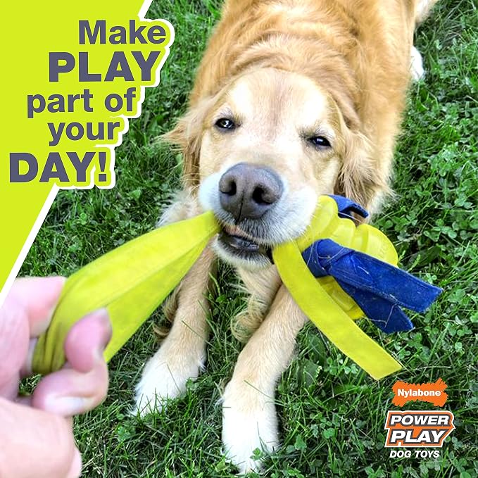 Nylabone Power Play Tennis Ball Teddy Bear Gripz Felt Rubber Fetch Toy, Squeaky Toys for Dogs, Medium (1 Count)