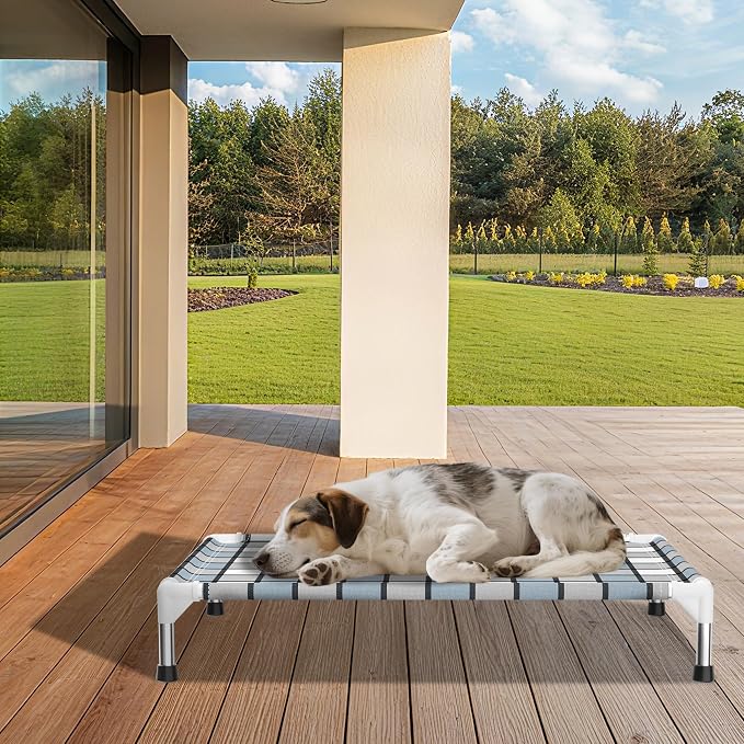 Caghash Elevated Outdoor Raised Dog Bed, Lifted Dog Cot for Medium Pet | Breathable Fabric Dog bed for Indoor & Outdoor, Stainless Steel, Anti-Slip Pet Bed