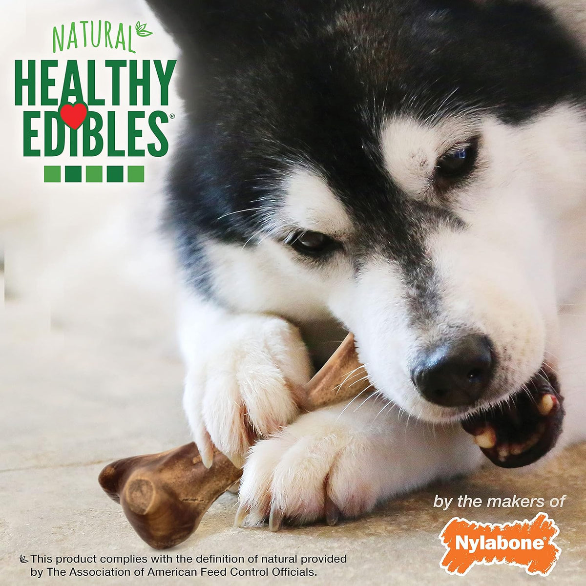 Nylabone Healthy Edibles WILD Natural Longer-Lasting Chew Treats, Bison Flavor, Large Dogs Up to 50 lbs - Made in USA (1 Count)