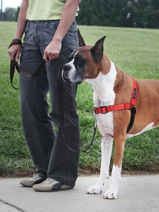 Petsafe Deluxe Easy Walk Harness, Small, Rose Pink, EWH-D-HC-S-RSE | Padded Neoprene Straps, Reflective Strips for Night Safety, Martingale Loop Curbs Pulling from the Chest, Not the Throat
