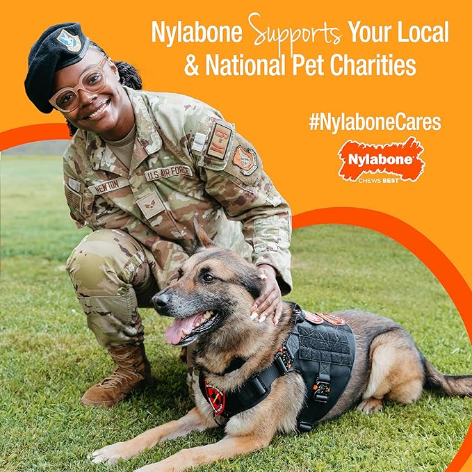 Nylabone Healthy Edibles Natural Dog Chews, Long Lasting Bones for Dogs, Roast Beef & Chicken Flavor Dog Treats, X-Small (8 Count)