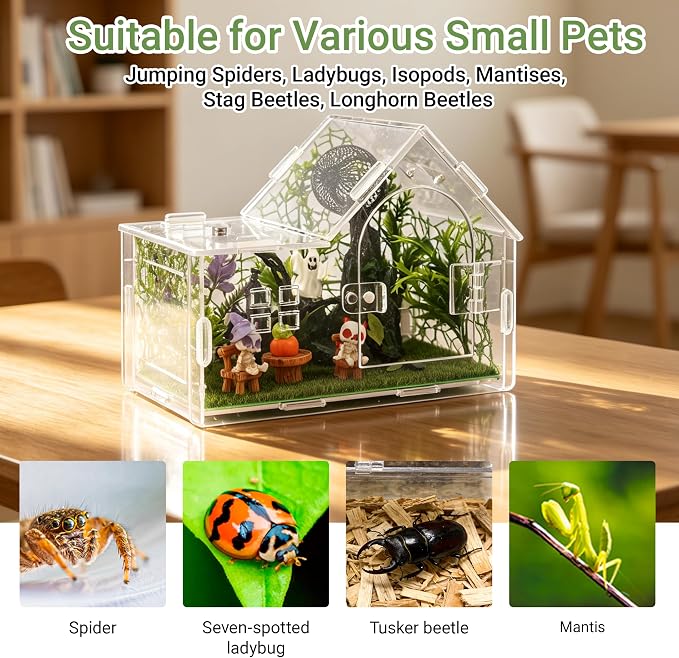 Acrylic Jumping Spider Enclosure Kit 23PCS with Decor | Gothic ornaments, plants, clear view, for mantis & tarantula