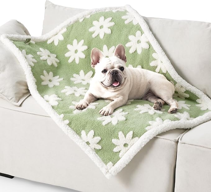LE SURE Waterproof Dog Blankets for Medium Dogs Cute 3D Jacquard,30x40 | Puppy Blanket for Cat Aesthetic Gift, Warm Soft Sherpa Throw Washable, Reversible Pet Couch Protector, Flower Garden Green
