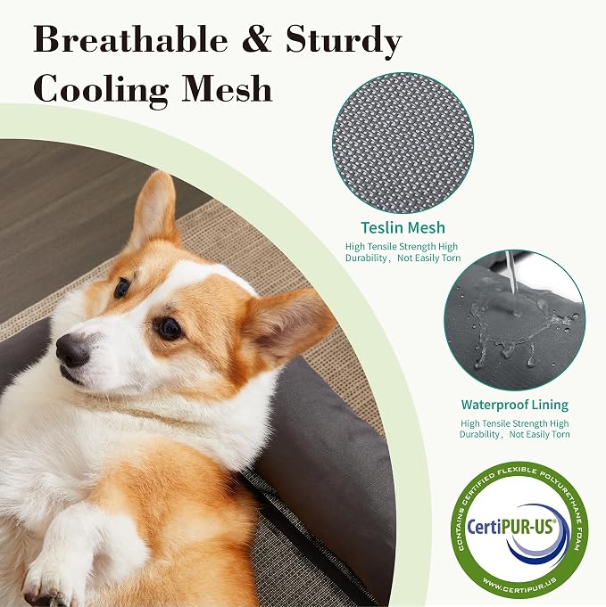 Cooling Elevated Dog Bed with Pillows,Portable Washable Raised Dog Cot Bed with Chew Proof Mesh and Metal Frame,No-Slip Rubber Feet for Indoor & Outdoor Use,Medium,Deep Grey