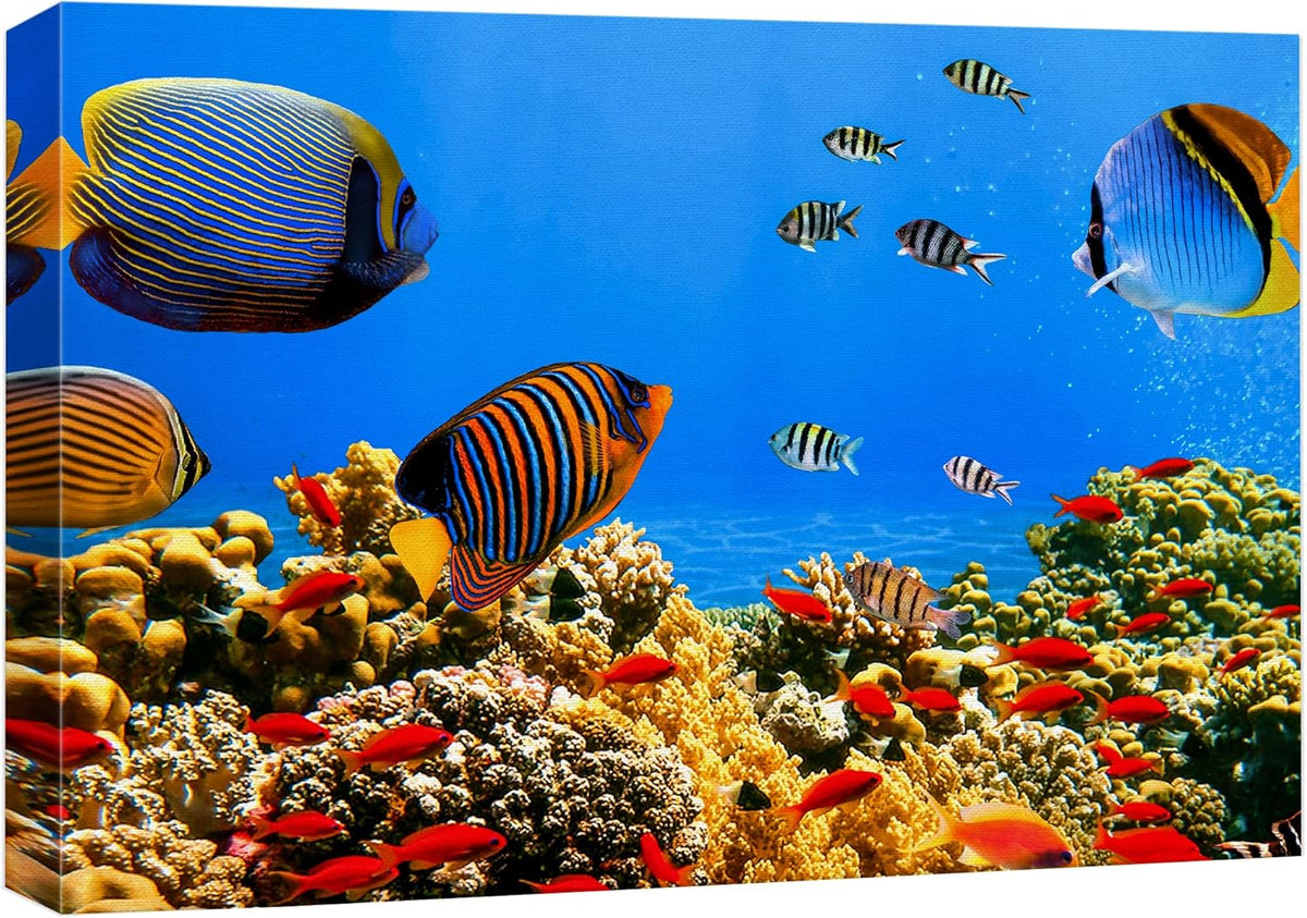 wall26 Canvas Print Wall Art Tropical Island Underwater Fish Red Anemone Nature Animals Photography Realism Rustic Scenic Landscape Wilderness Colorful for Living Room, Bedroom, Office - 16"x24"