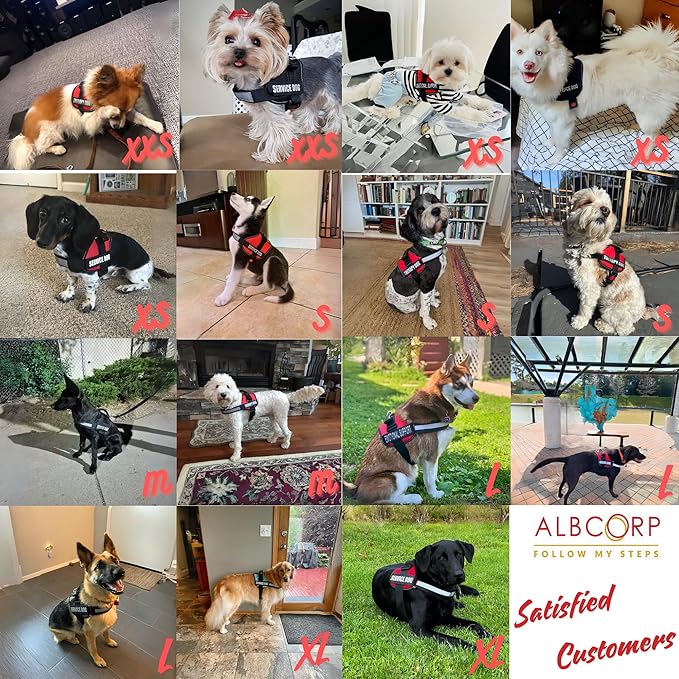 Service Dog Vest Harness – Reflective Service Animal Vest with Handle, No-Pull Adjustable Mesh Padding – XXS–XL – 2 Removable Patches. (Extra Large, Red)