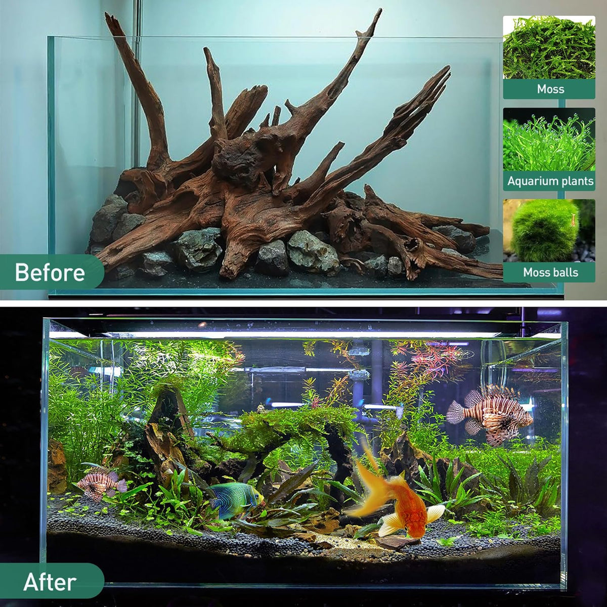 WDEFUN Natural Driftwood for Aquarium Decor, 1-Piece 13''-17'' Large Driftwood for Decorations on Fish Tank, Reptiles Bearded Dragon Accessories or Air Plants