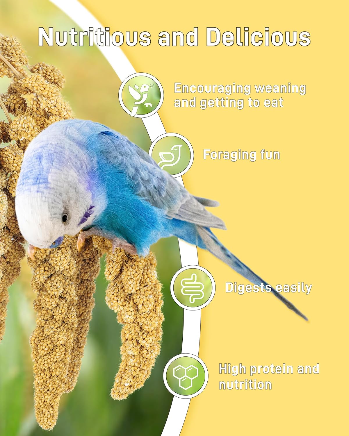 BUCATSTATE 2.2lbs Millet for Birds, Sun-Dried Parakeet Food for Parrot, Budgie, Cockatiel, Finches, Lovebird, GMO-Free Parakeet Treats (2.2lbs)