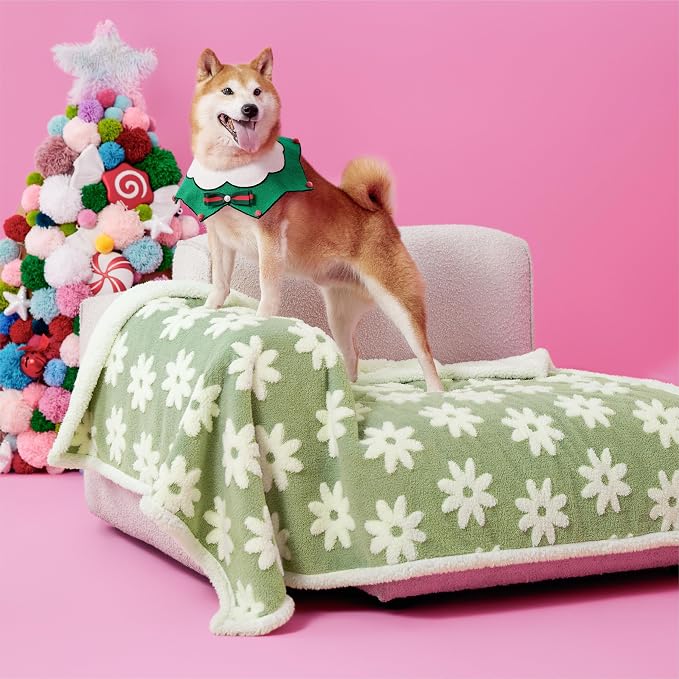 LE SURE Waterproof Dog Blankets for Large Dogs Cute Cozy 3D Jacquard,40x50 | Warm Soft Pet Blanket for Senior Dogs Aesthetic Gift, Washable Sherpa Throw, Reversible Couch Protector, Flower Garden Green