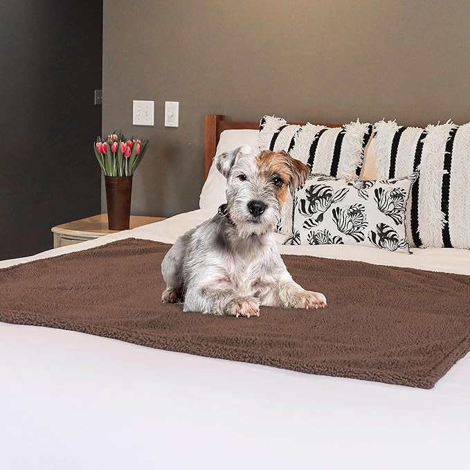 rocket & rex Medium Waterproof Dog Blanket, Brown, Washable Waterproof Pet Blanket Protects Beds, Couches & Other Furniture, Premium Fleece Fabric with Reversible Faux Suede, 30" x 40" (Pack of 1)