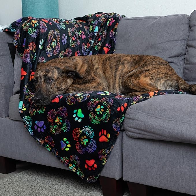 Pet Dog Cat Blanket Ultra Soft Cozy Fleece Paw Print Design Machine Washable Durable for Crates Beds Sofas Travel (Decadent Paws, Medium)
