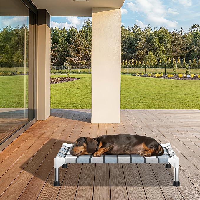 Caghash Elevated Outdoor Raised Dog Bed, Lifted Dog Cot for Small Pet | Breathable Fabric Dog bed for Indoor & Outdoor, Stainless Steel, Anti-Slip Pet Bed
