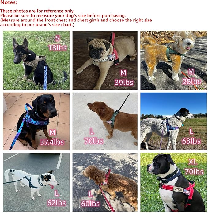 Annchwool No Pull Dog Harness with Soft Padded Handle-Reflective Strip Escape Proof and Quick Fit to Adjust Dog Harness-Easy for Training Walking for Small & Medium and Large Dogs(Red,XS,1 in Width)