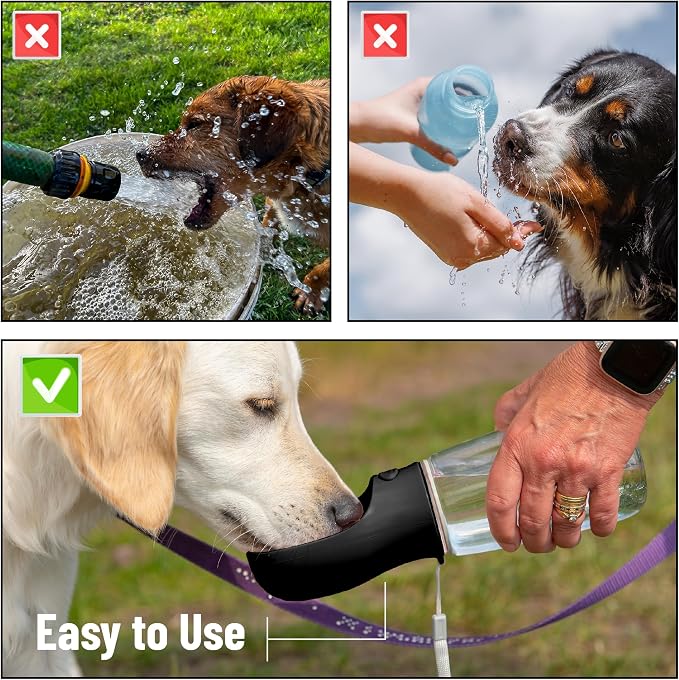Mr. Pen- Portable Dog Water Bottle, 19 oz, Large | Leak Proof Puppy Water Dispenser with Drinking Feeder for Pets, Outdoor Walking, Hiking, Travel, Not Dishwasher Safe