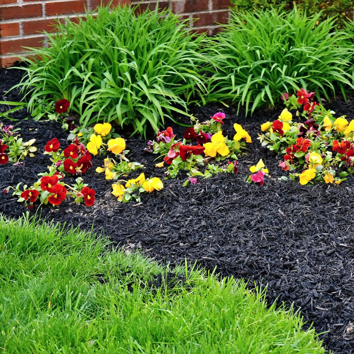 Premium Black Wood Mulch for Landscaping, Gardens, Lawns, Potting Media, and Potted Plants (0.2 CF - 4.8 L - 5 QTS)