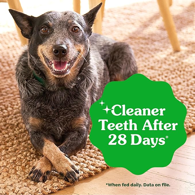 Greenies Veterinarian-Recommended Adult Natural Dental Dog Treats Petite Size, Original Flavor, 12 oz. Pack, 20 Count