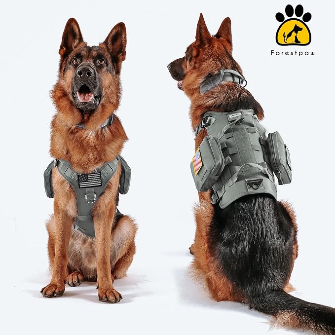 Forestpaw Tactical Dog Harness Collar Bungee Leash Set,M,Gray | Adjustable Fits 22-35" Chest,30-80 lbs,No Pull Control Military Style,Quick Release Buckle,Walking Training for Medium Dogs