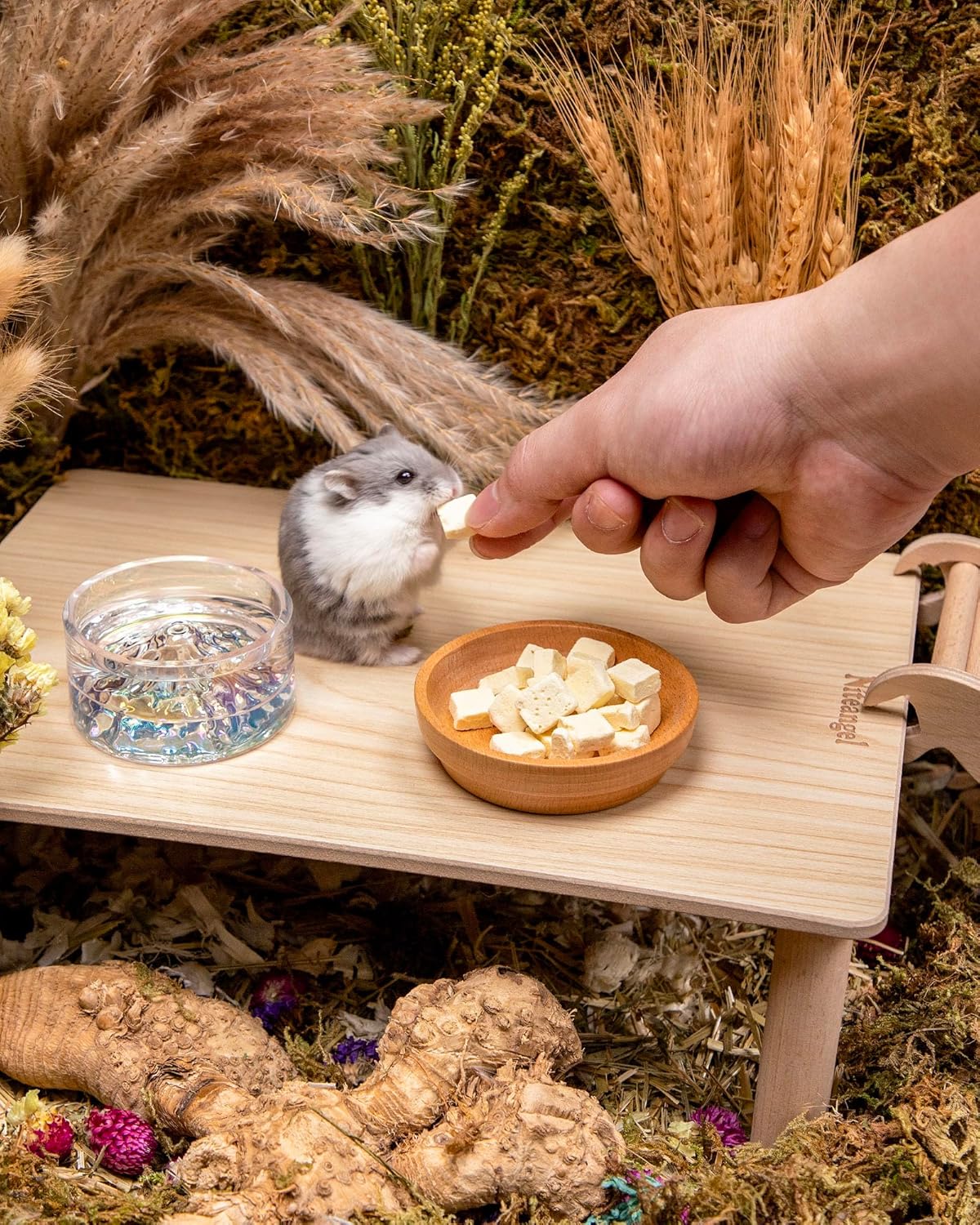 Niteangel Hamster Snack & Treats Toy - Small Animal Natural Treat for Dwarf Syrian Robo Hamsters Gerbils Mice Lemmings Degus or Other Small-Sized Pets