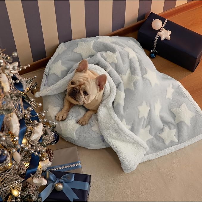 LE SURE Waterproof Dog Blankets for Medium Dogs Cute 3D Jacquard,30x40 | Puppy Blanket for Cat Aesthetic Gift, Warm Soft Sherpa Throw Washable, Reversible Pet Couch Protector, Galaxy Grey