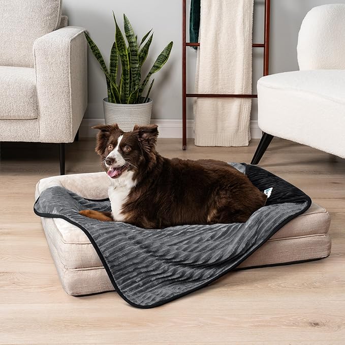 PetAmi Waterproof Dog Blanket, Leakproof Pet Blanket for Small Medium Large Dogs, Reversible Furniture Bed Sofa Couch Cover Protector, Plush Striped Pet Throw for Indoor Cat, 24x32 in, Black Grey