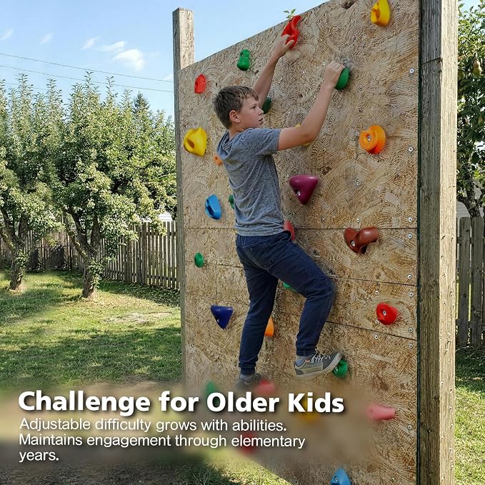 TOPNEW 32 Rock Climbing Holds Multi Size for Kids, Adult Rock Wall Holds Climbing Rock Wall Grips for Indoor and Outdoor Playground Play Set - Includes 2 Inch Mounting Hardware