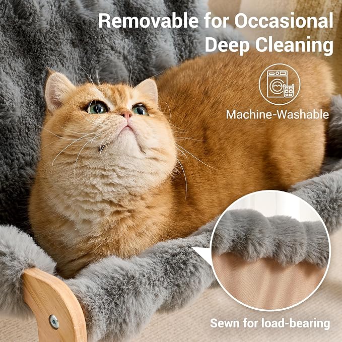 Solid Wood Cat Couch Bed for Indoor Cats, Modern Cat Sofa with Ultra-Soft Plush Surface Washable, Reclined Backrest, Elevated Plush Cat Lounge for Small to Adult Cats, Frost Gray