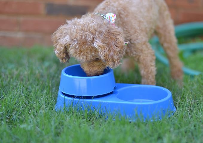 The 3-in-1 Ant Free Pet Dish (Small Blue)